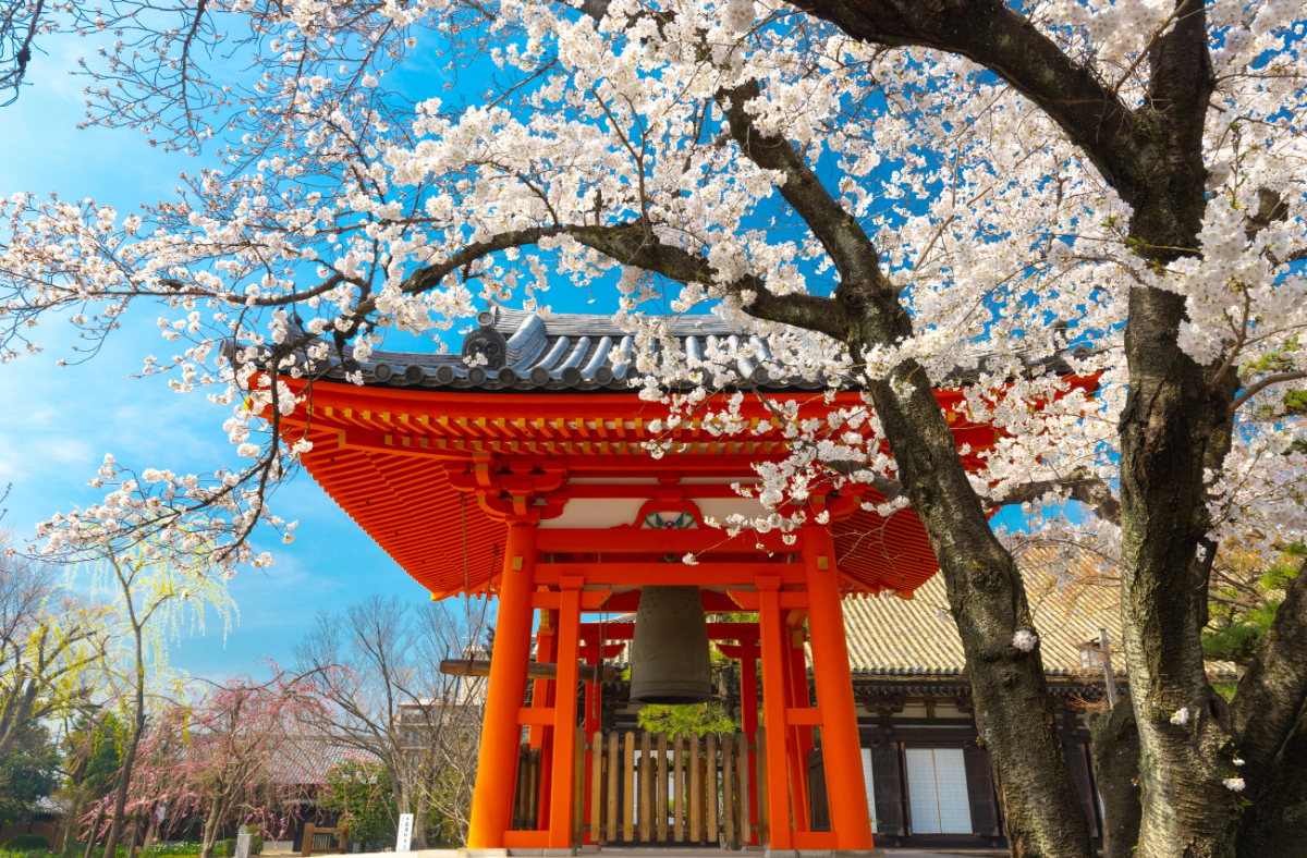 Master the Power of Japanese Techniques to Overcome Laziness